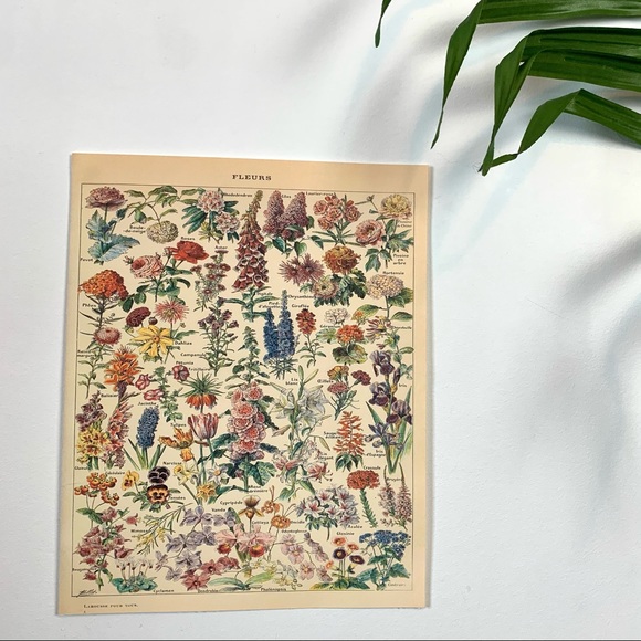 Vintage Other - Adolphe Millot 1909 Fleurs Floral Print 1 of 5